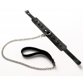 Черный ошейник с шипами и поводком - Crazy Handmade - купить с доставкой в Пензе