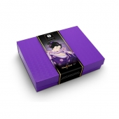 Подарочный набор Naughter Kit - Shunga - купить с доставкой в Пензе