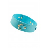 Голубой кожаный однослойный ошейник с прошивкой - Pecado - купить с доставкой в Пензе