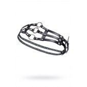 Черный кожаный пояс с кольцами - Pecado - купить с доставкой в Пензе