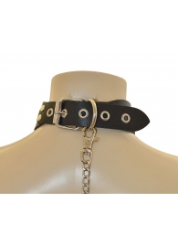 Ошейник  Веселый Роджер - Sitabella - купить с доставкой в Пензе