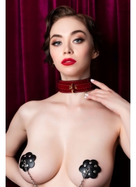 Красный ошейник из лакированного материала - ToyFa - купить с доставкой в Пензе