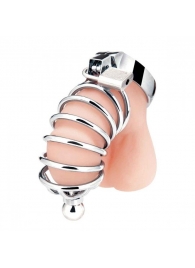 Серебристая клетка для члена Urethral Play Cage - BlueLine - купить с доставкой в Пензе