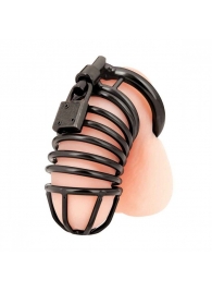 Черная металлическая клетка с замком Deluxe Chastity Cage - BlueLine - купить с доставкой в Пензе