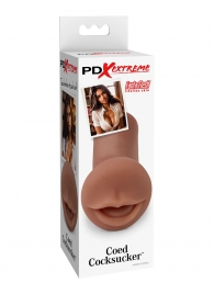 Мастурбатор-ротик Coed Cocksucker - Pipedream - в Пензе купить с доставкой