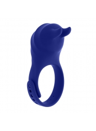 Синее эрекционное виброкольцо с клиторальной подушечкой и пультом ДУ Adjustable Fun Ring - Zero Tolerance - в Пензе купить с доставкой