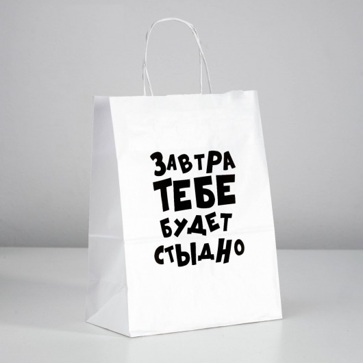 Подарочный пакет  Завтра тебе будет стыдно  - 30 х 24 см. - UPAK LAND - купить с доставкой в Пензе