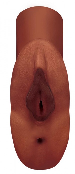 Коричневый мастурбатор Perfect Pussy Double Stroker - Pipedream - в Пензе купить с доставкой