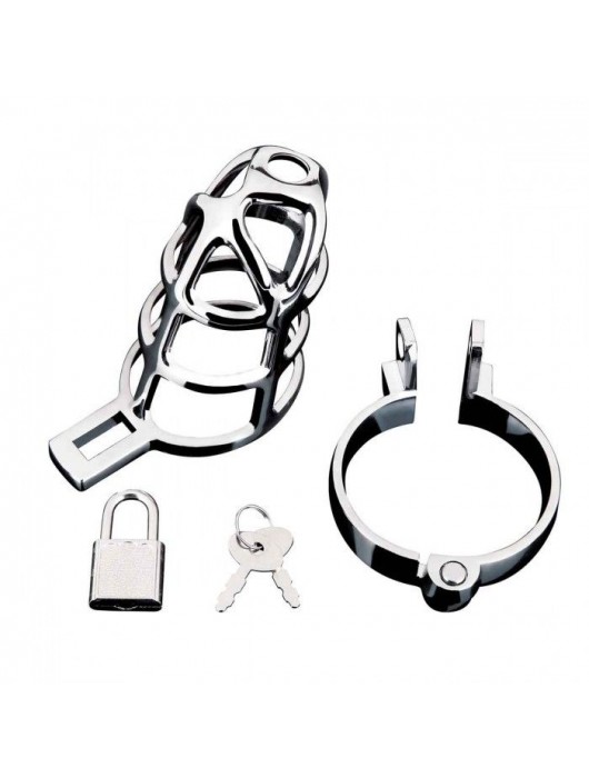 Серебристая металлическая клетка для члена с замком Enslave Cock Cage - BlueLine - купить с доставкой в Пензе