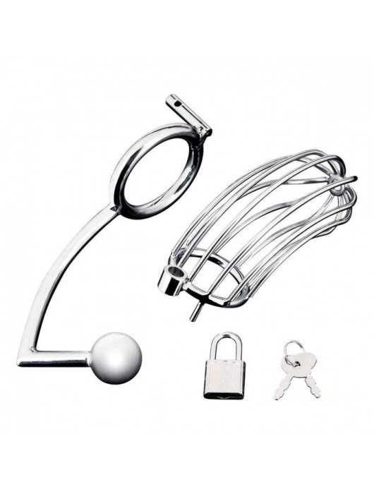 Серебристая металлическая клетка с анальным стимулятором Cock Cage - BlueLine - купить с доставкой в Пензе