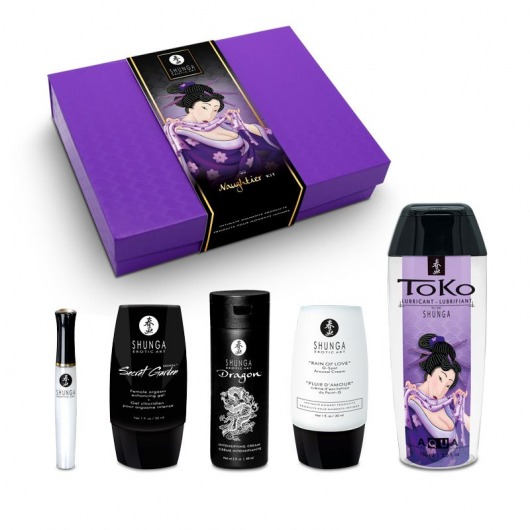 Подарочный набор Naughter Kit - Shunga - купить с доставкой в Пензе