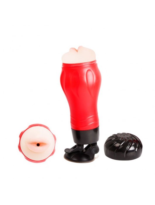 Мега-мастурбатор-ротик Flora - Baile - в Пензе купить с доставкой