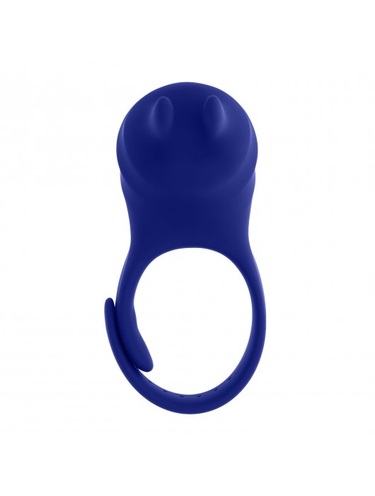 Синее эрекционное виброкольцо с клиторальной подушечкой и пультом ДУ Adjustable Fun Ring - Zero Tolerance - в Пензе купить с доставкой