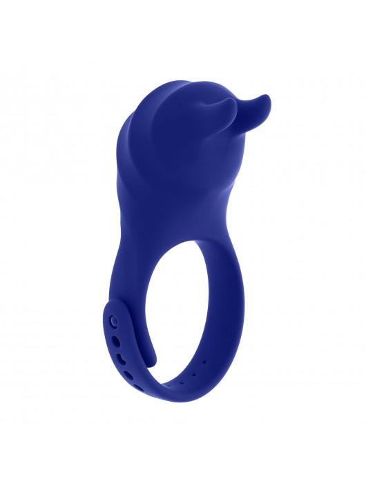 Синее эрекционное виброкольцо с клиторальной подушечкой и пультом ДУ Adjustable Fun Ring - Zero Tolerance - в Пензе купить с доставкой