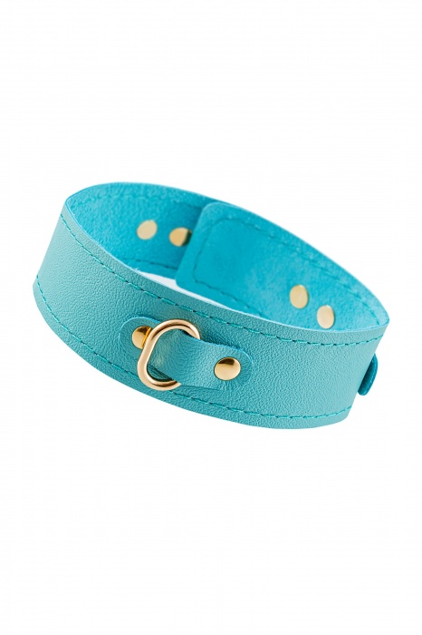 Голубой кожаный однослойный ошейник с прошивкой - Pecado - купить с доставкой в Пензе