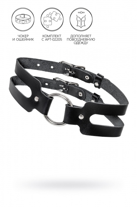 Черный кожаный чокер-ошейник из двух ремешков - Pecado - купить с доставкой в Пензе