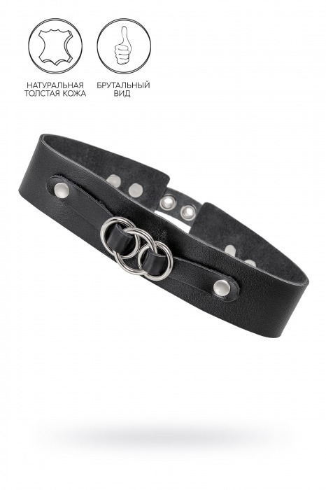 Черный чокер-ошейник со связанными кольцами на подложке - Pecado - купить с доставкой в Пензе