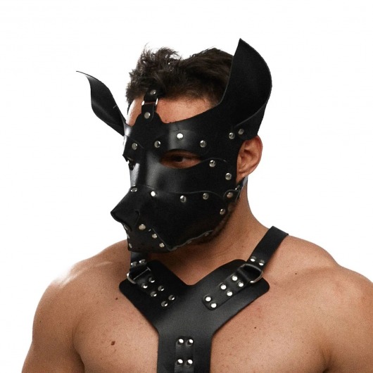 Черная кожаная маска «Собака» - Crazy Handmade - купить с доставкой в Пензе