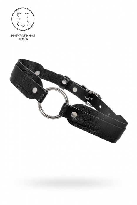 Черный кожаный чокер-ошейник со скруглёнными углами - Pecado - купить с доставкой в Пензе
