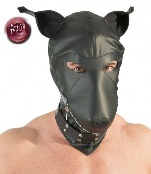 Шлем-маска Dog Mask в виде морды собаки - Orion - купить с доставкой в Пензе