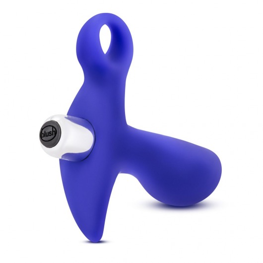 Синий стимулятор простаты с ручкой-кольцом Performance Prostimulator 02 - Blush Novelties - в Пензе купить с доставкой