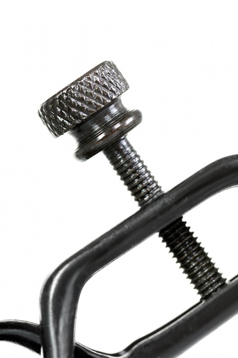 Черно-золотистые зажимы для сосков TOYFA Theatre - ToyFa - купить с доставкой в Пензе