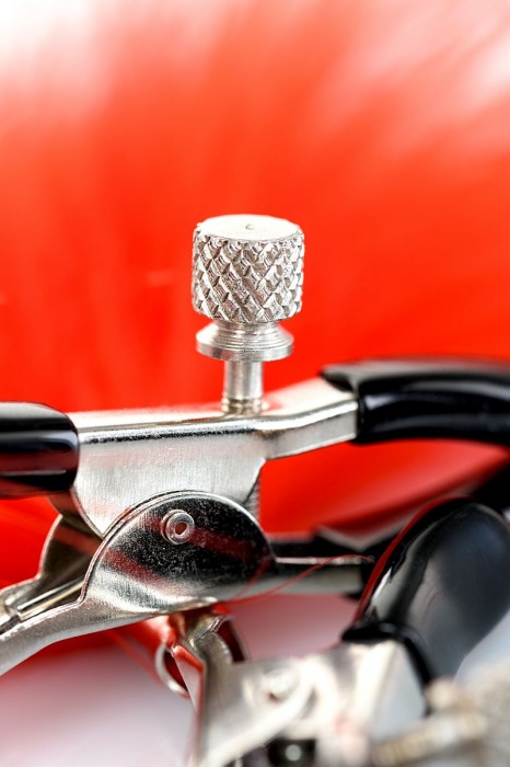 Зажимы для сосков с красным пухом Theatre - ToyFa - купить с доставкой в Пензе