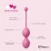 Набор из 3 розовых вагинальных шариков FemmeFit Advanced Pelvic Muscle Training Set - FeelzToys в Пензе Набор из 3 розовых вагинальных шариков FemmeFit Advanced Pelvic Muscle Training Set - FeelzToys